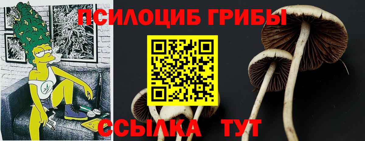 Галлюциногенные грибы прущие грибы  Вход с VPN  Галлюциногенные грибы мухоморы  Воронеж 