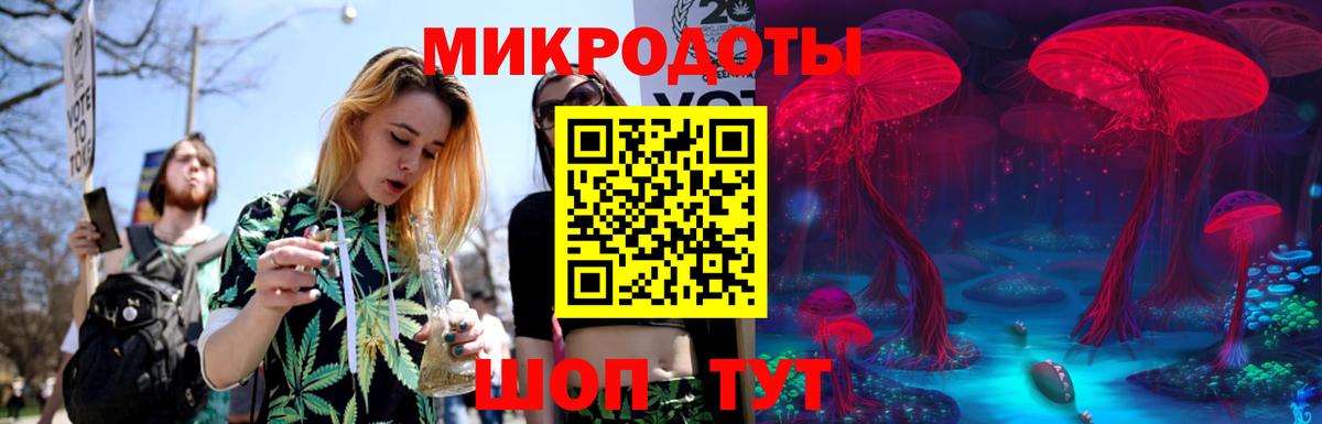 Псилоцибиновые грибы Psilocybine cubensis Воронеж
